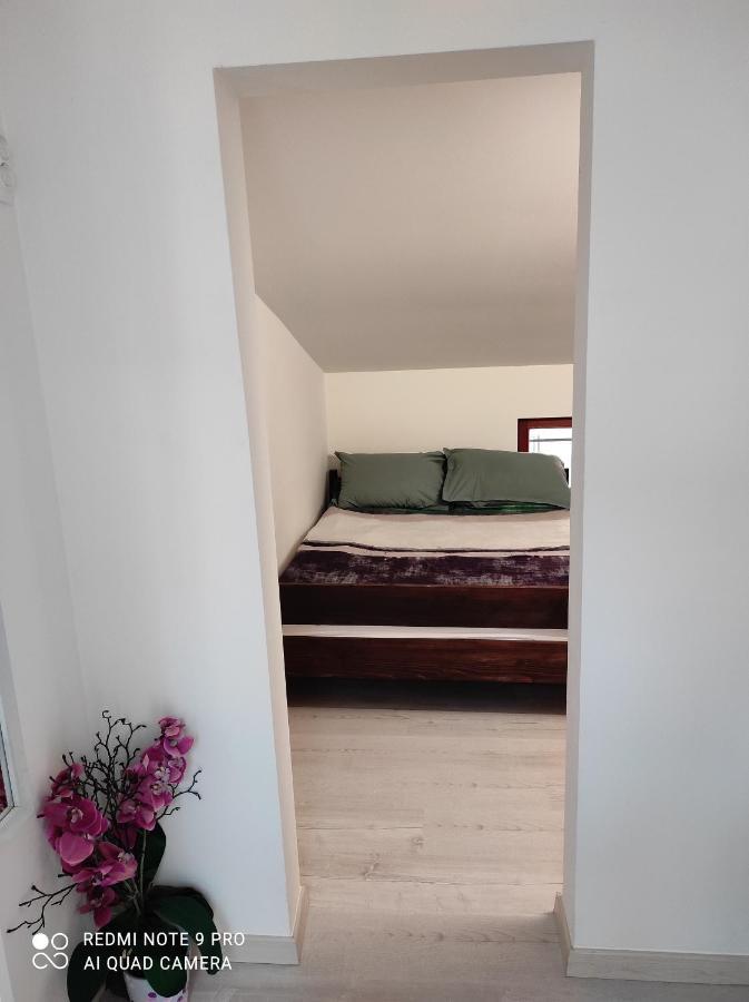 Apartma 伊佐拉 外观 照片