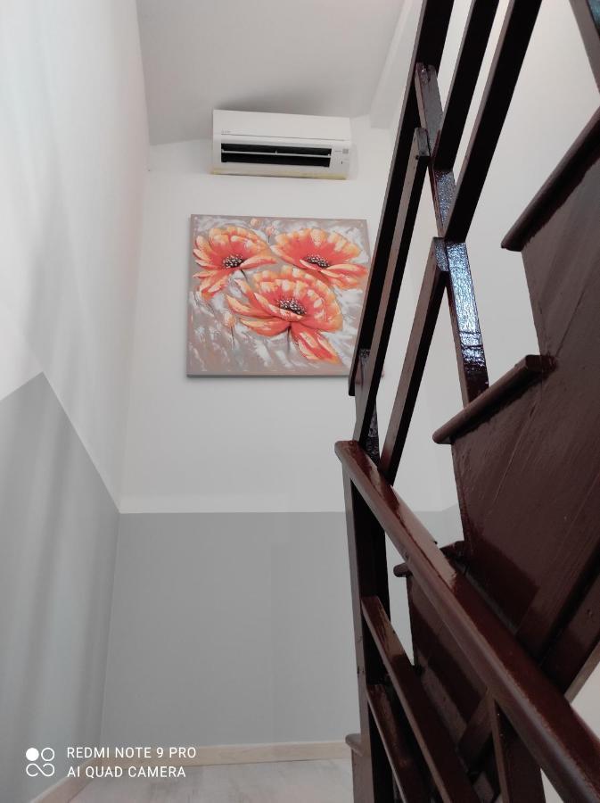 Apartma 伊佐拉 外观 照片